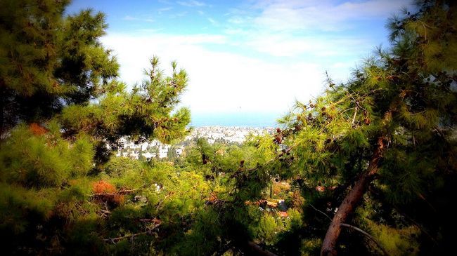 Onar Village Kyrenia  Exteriör bild