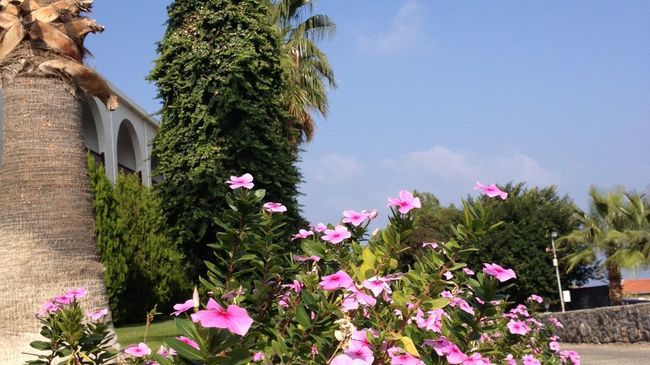 Onar Village Kyrenia  Bekvämligheter bild